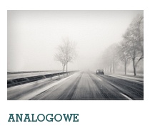 Analogowe, fotografia analogowa. Stare czy nowe ale wykonane na błonie fotograficznej